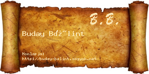 Buday Bálint névjegykártya
